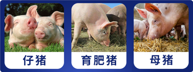 �����߷�long8Ψһ����������