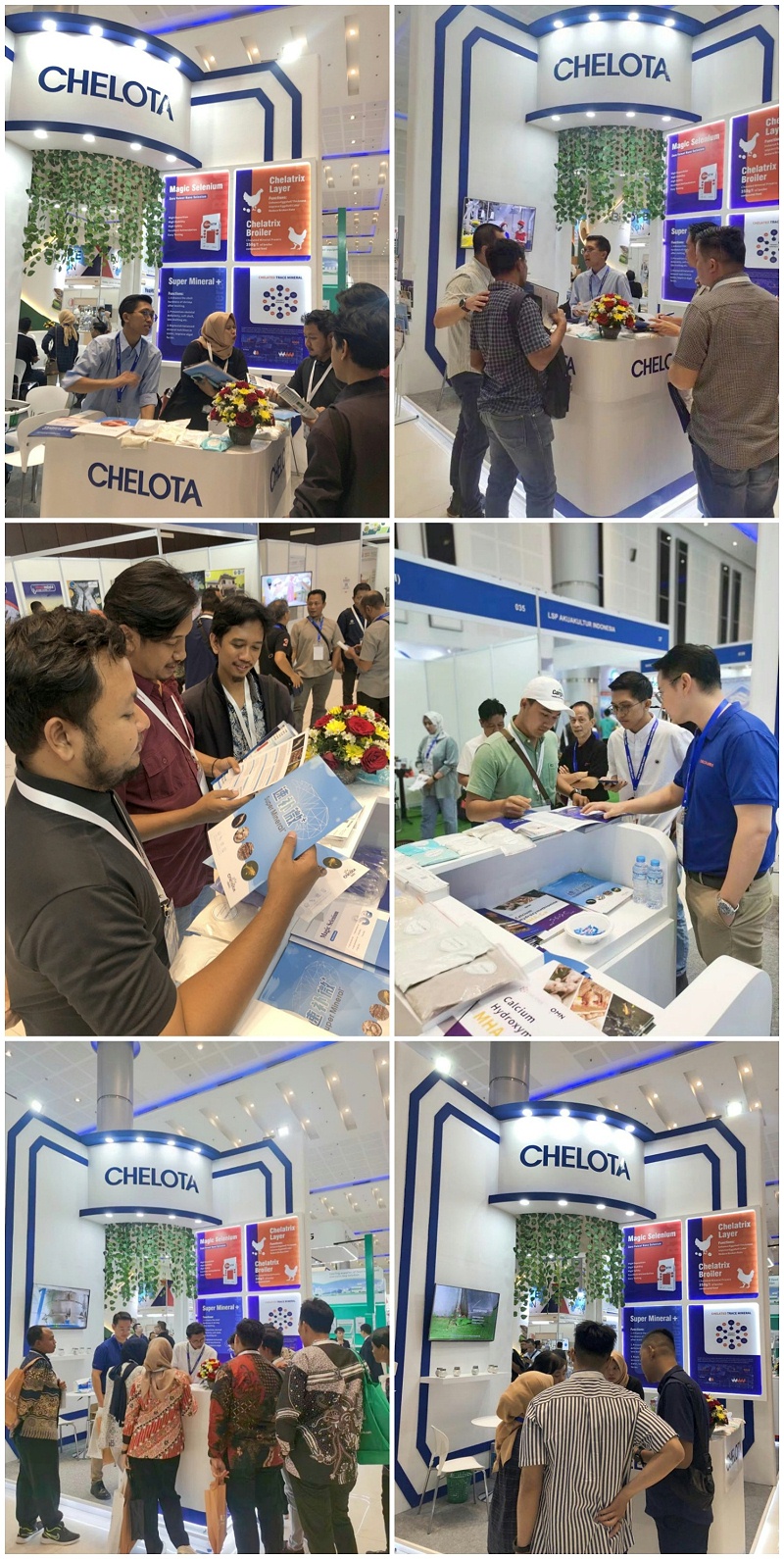 ӡ������չ����long8Ψһ����չλ���