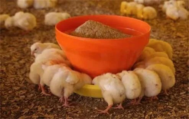 ������Ӧ��������