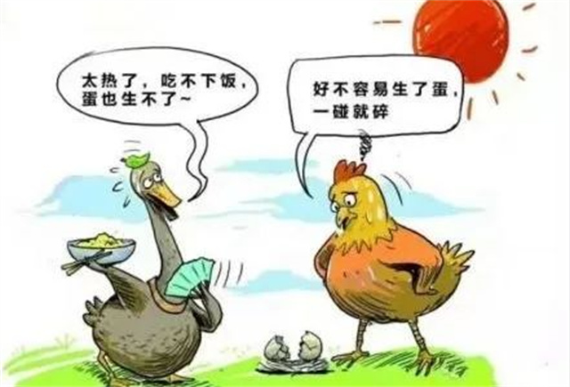 ������Ӧ��������