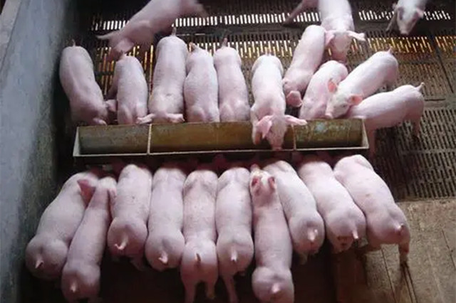 �������Ӽ�