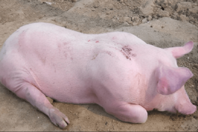 ����ˮ�ײ���ô��