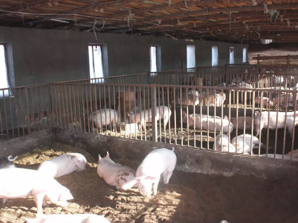 �������������������������������΢��Ԫ��Ԥ�������������