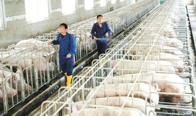 �����ܷ�������Ļ�������