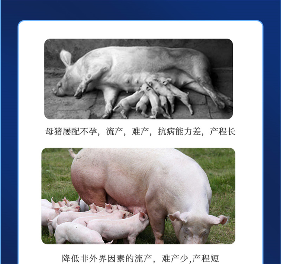 long8Ψһ�����������������Ӽ�����Ѫ��Ʒ����