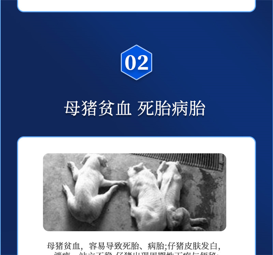 long8Ψһ�����������������Ӽ�����Ѫ��Ʒ����