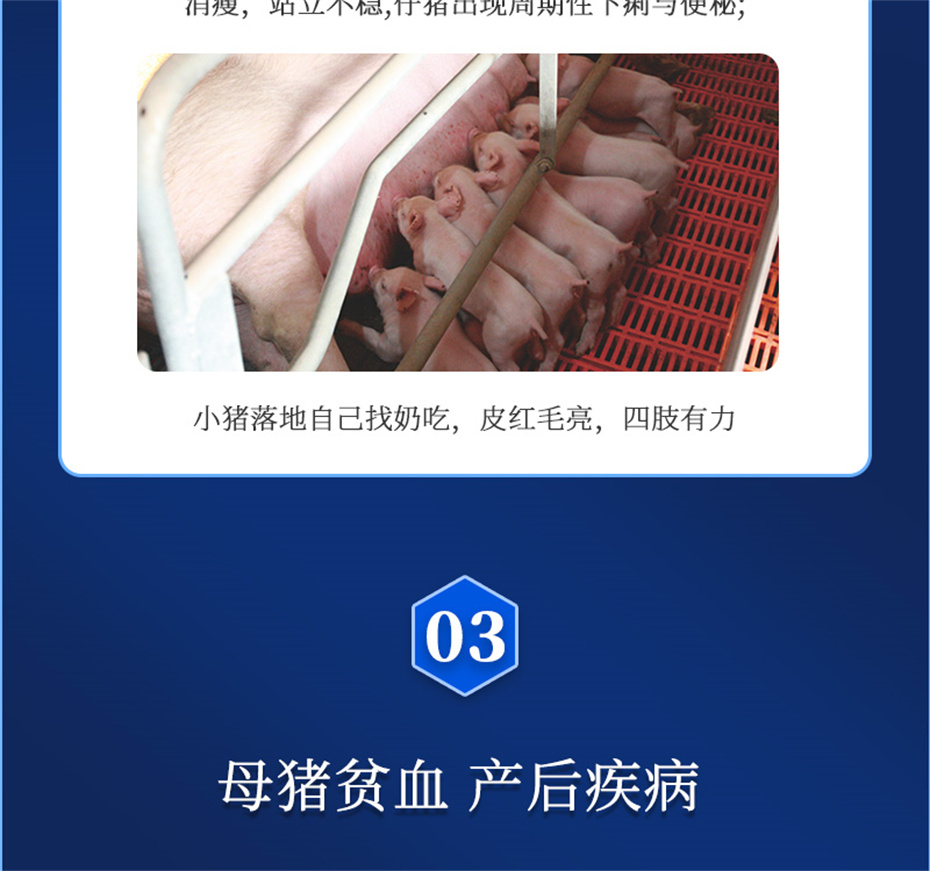 long8Ψһ�����������������Ӽ�����Ѫ��Ʒ����