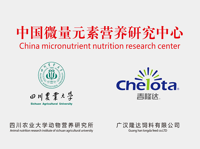 long8Ψһ����