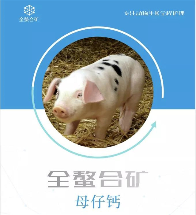 �������Ӽ�