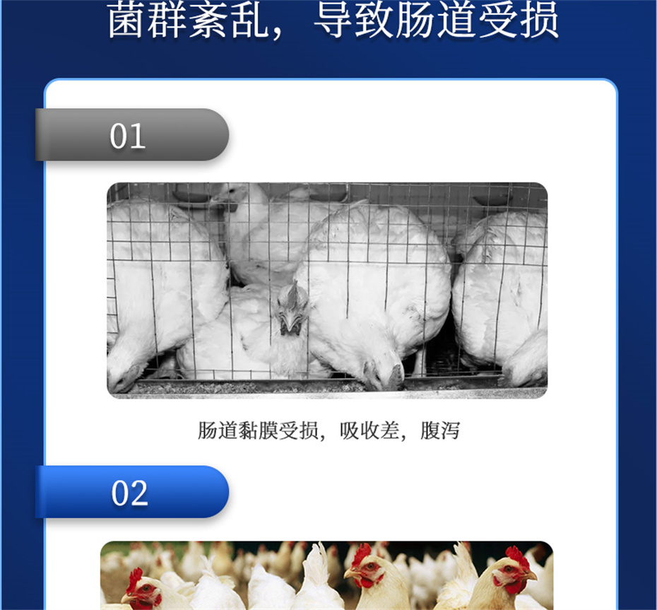 long8Ψһ���������������Ӽ�����Ԫ��Ʒ����