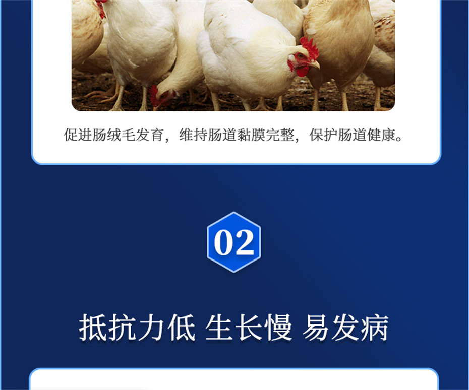 long8Ψһ���������������Ӽ�����Ԫ��Ʒ����