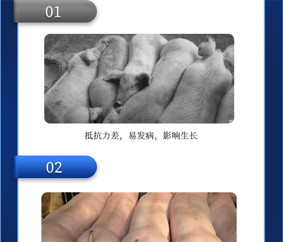 long8Ψһ���������������Ӽ�����Ԫ��Ʒ����