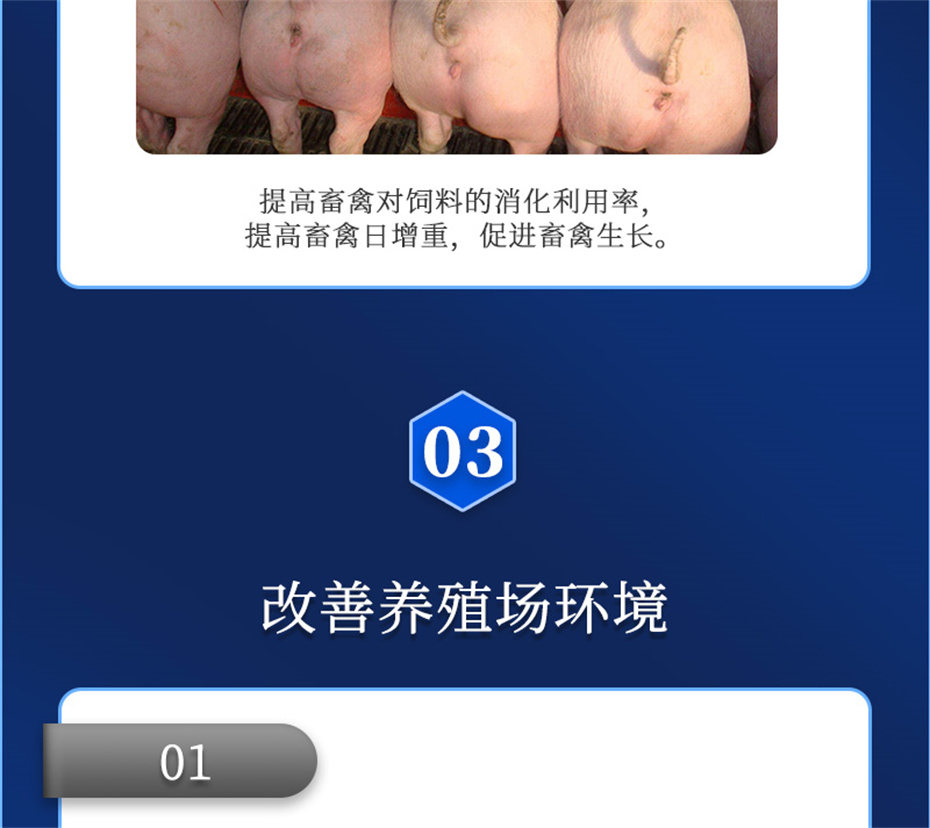 long8Ψһ���������������Ӽ�����Ԫ��Ʒ����