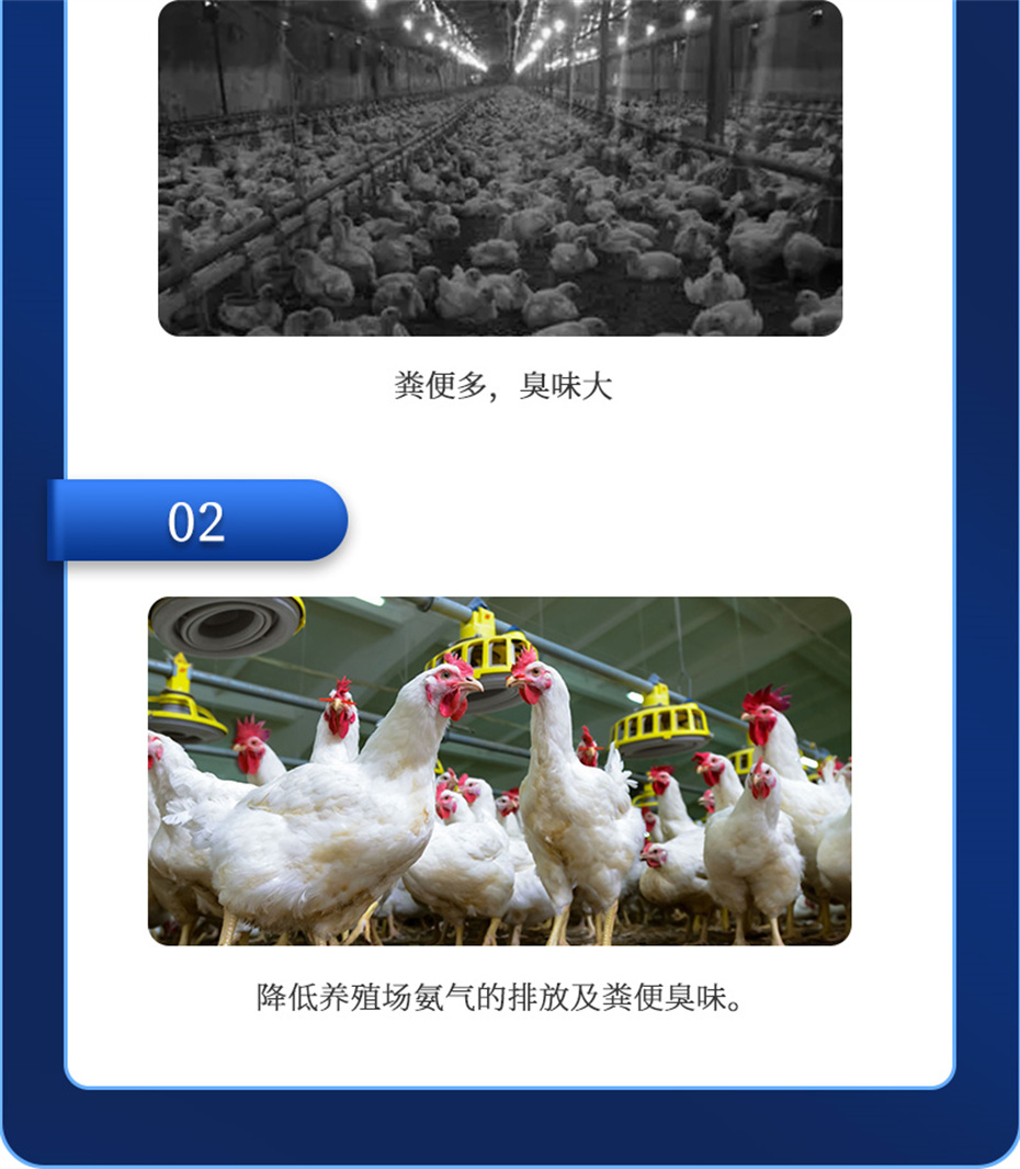 long8Ψһ���������������Ӽ�����Ԫ��Ʒ����