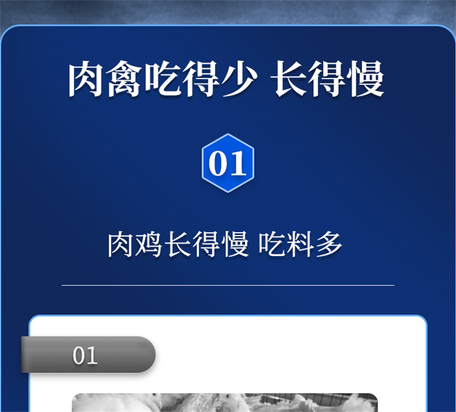 long8Ψһ�����������������Ӽ������ز�Ʒ����