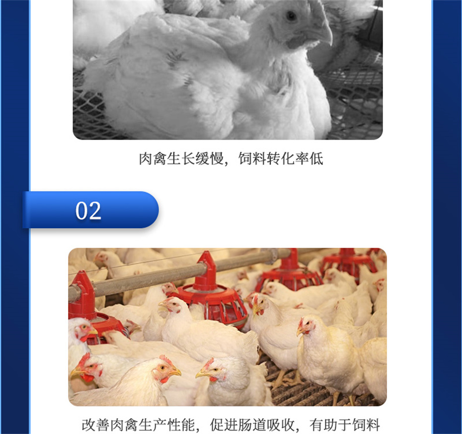 long8Ψһ�����������������Ӽ������ز�Ʒ����