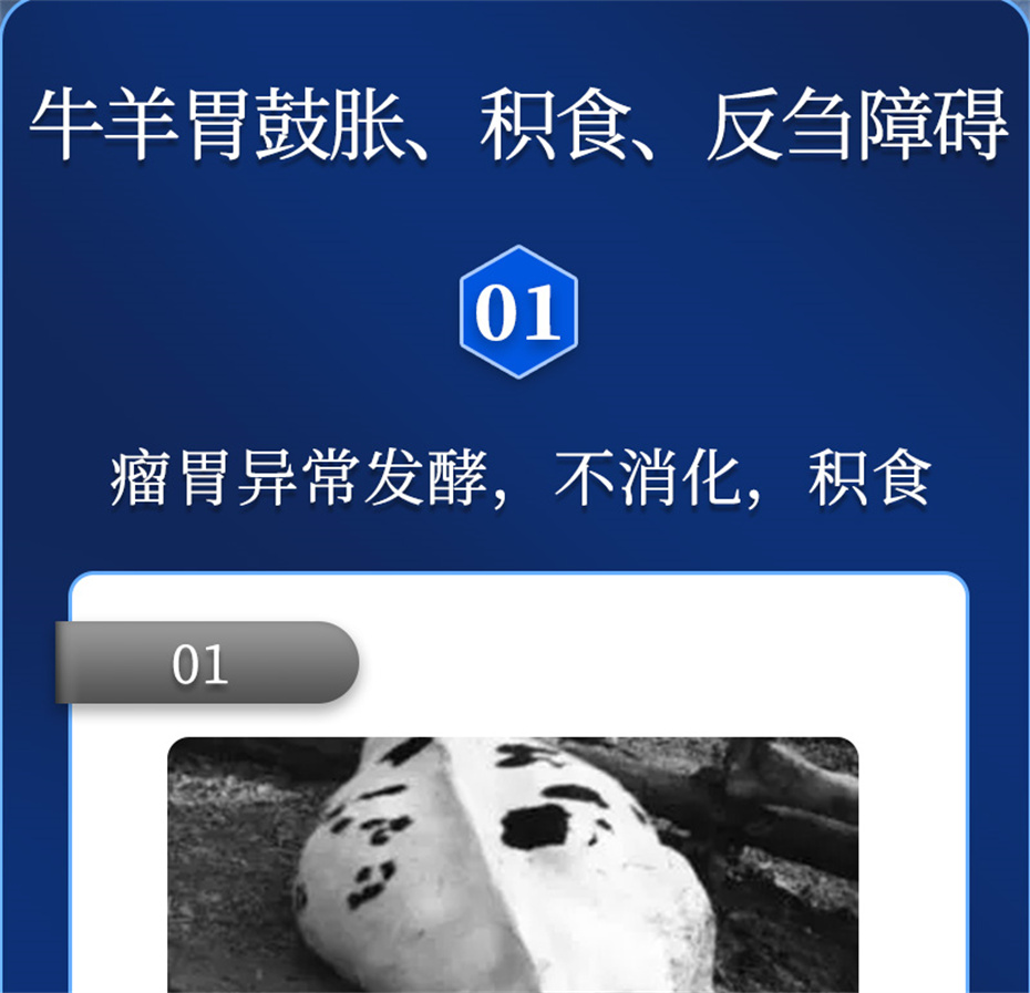 long8Ψһ��������ţ���������Ӽ�θ��plus��Ʒ����