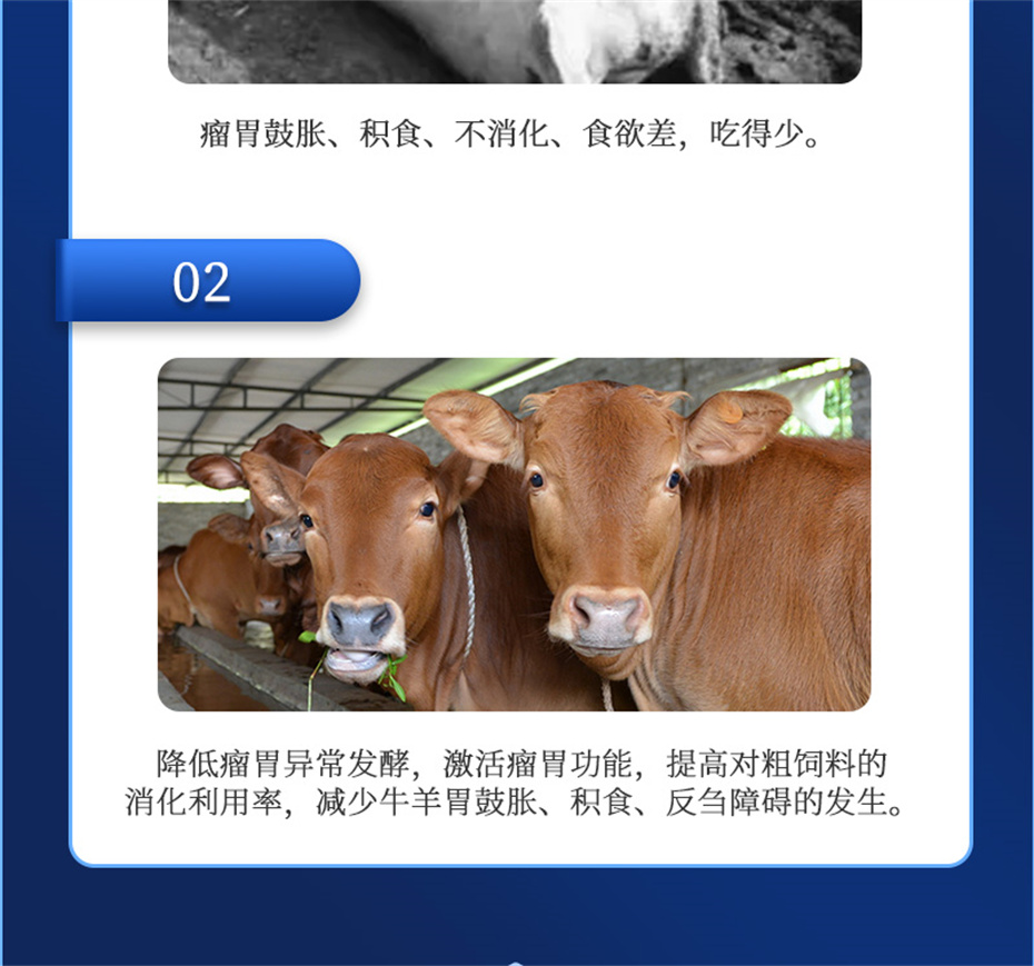 long8Ψһ��������ţ���������Ӽ�θ��plus��Ʒ����