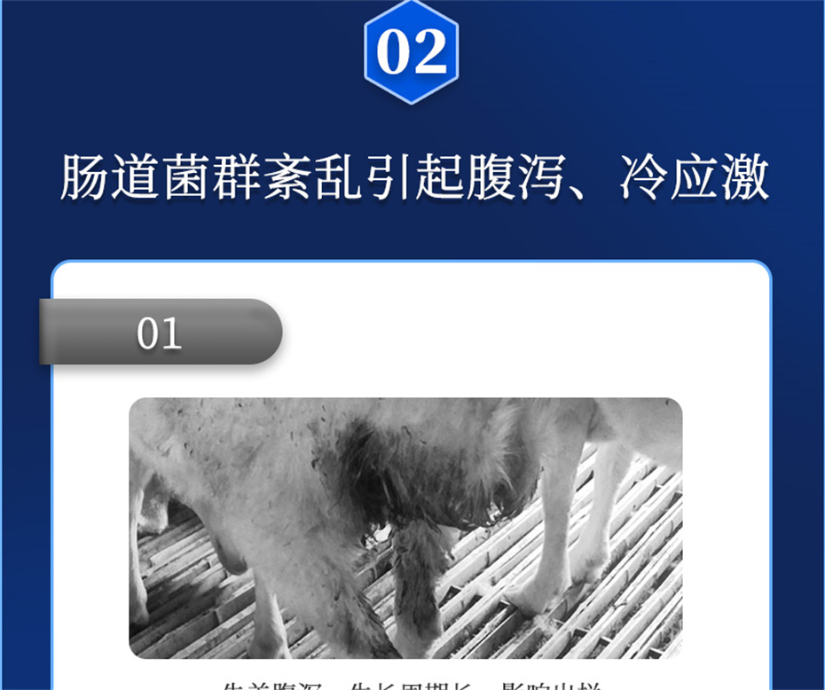 long8Ψһ��������ţ���������Ӽ�θ��plus��Ʒ����