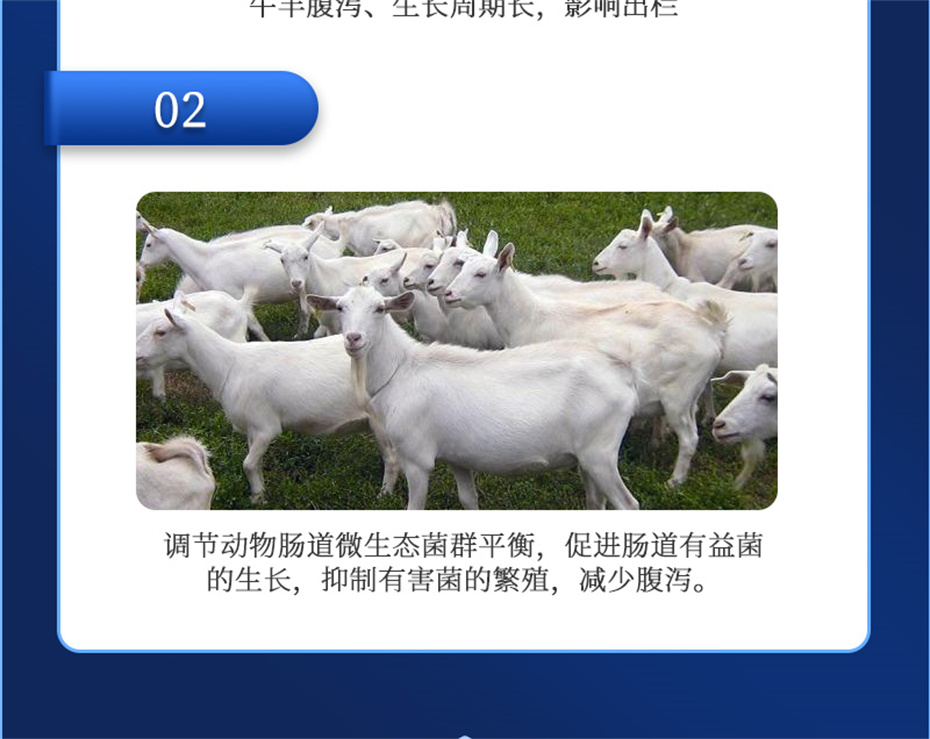 long8Ψһ��������ţ���������Ӽ�θ��plus��Ʒ����