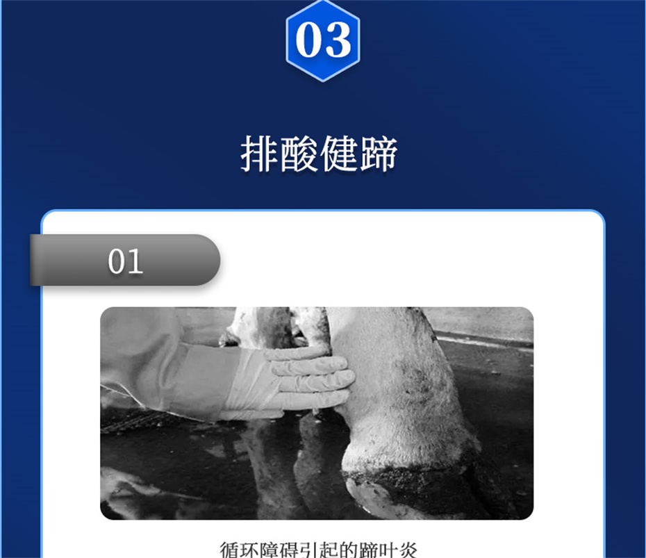 long8Ψһ��������ţ���������Ӽ�θ��plus��Ʒ����