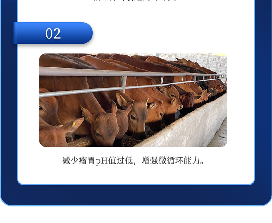 long8Ψһ��������ţ���������Ӽ�θ��plus��Ʒ����