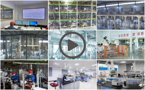 long8Ψһ��������������Ƭ