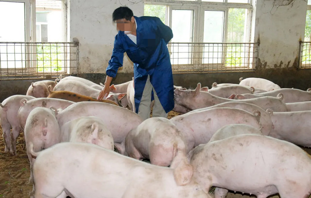 �������Ӽ�����;