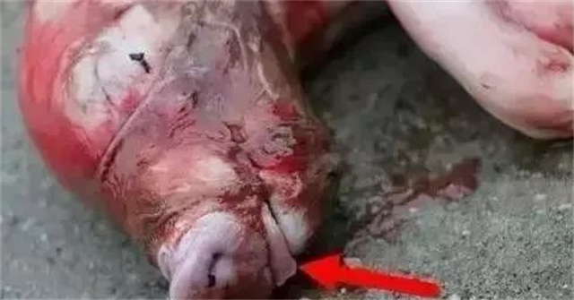 �ж�ĸ���Ƿ�����3�У���ĸ���ӹ���λ