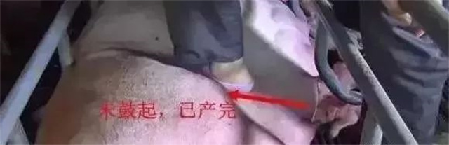 �ж�ĸ���Ƿ�����3������ĸ���ӹ���λ