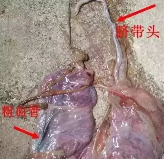 �ж�ĸ���Ƿ�����1���������ͷ