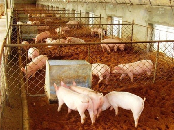 ����Ӧ�������ح��������ǿ��Ӫ����ʩ