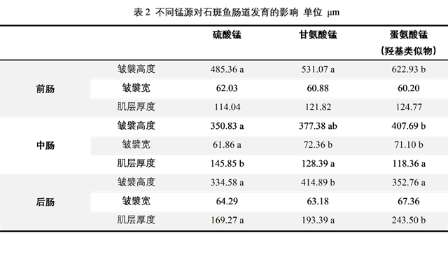 �������Ӽ�