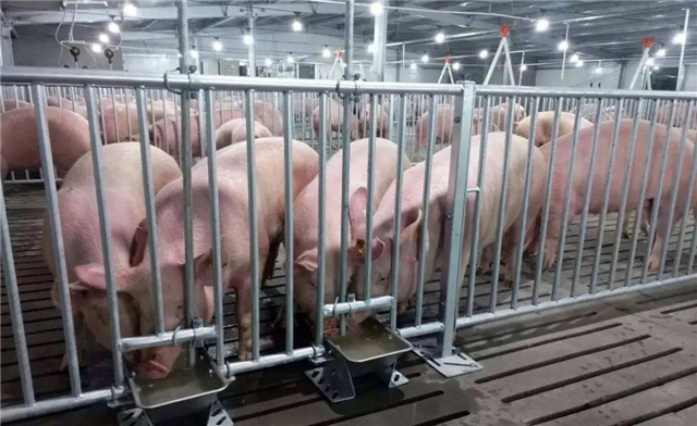 �������Ӽ�