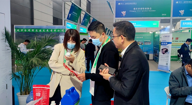 �������long8Ψһ��������չ̨