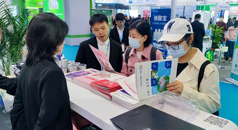 �������long8Ψһ��������չ̨