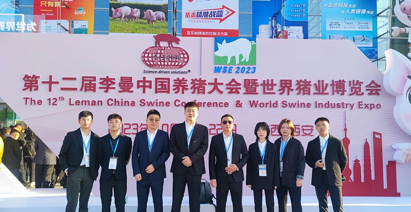 �������long8Ψһ��������չ̨