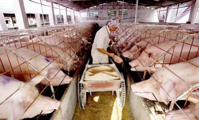 ��������Щ