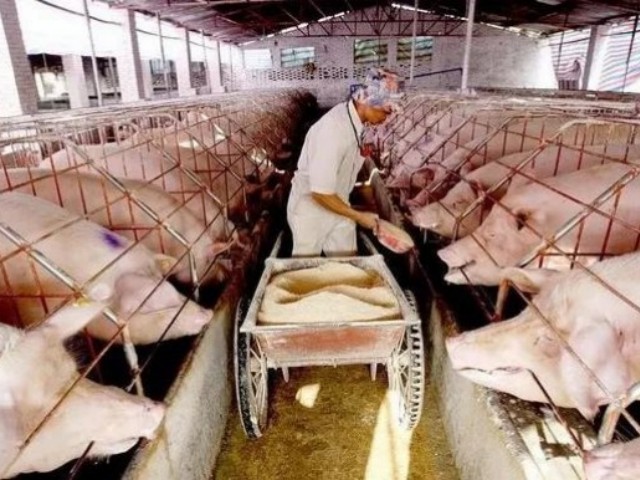 ��������Щ