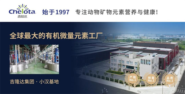 �л�΢������long8Ψһ����